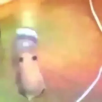 Мышь танцует с бутылкой