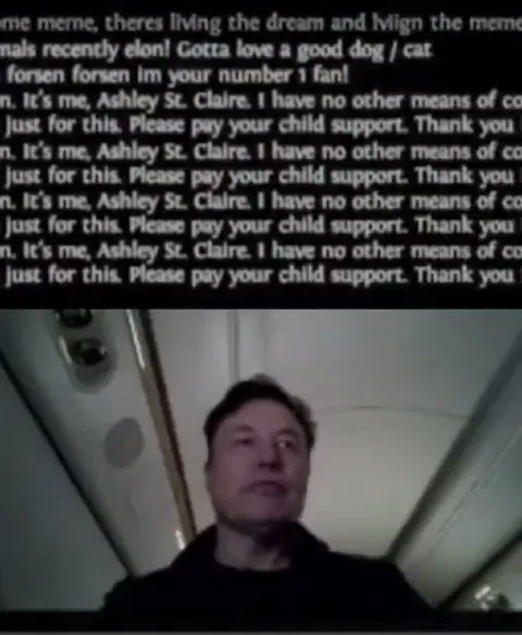 Ashley St. Clair Child Support Messages