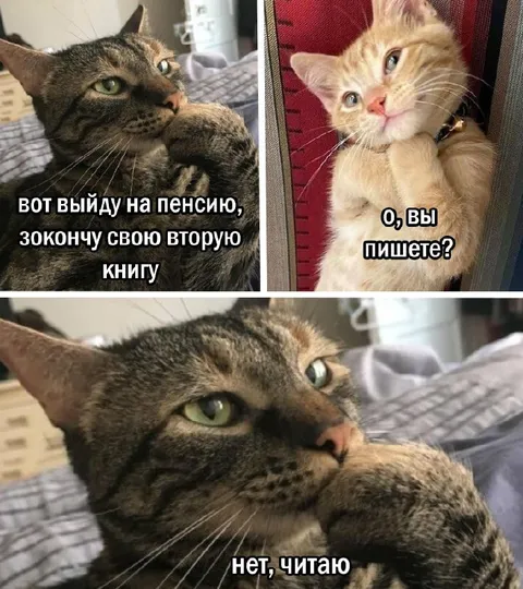 Кот пишет вторую книгу
