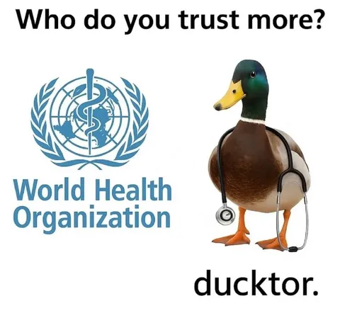 Who Do You Trust More?