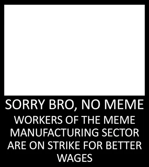Sorry Bro, No Meme