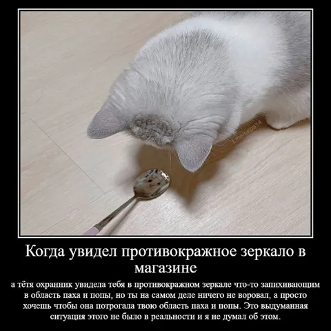 Кот увидел противокражное зеркало
