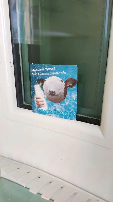 Коровья вода для путника