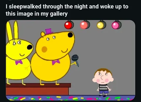 Sleepwalked Into This Image