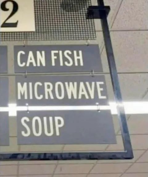 Can Fish Microwave Soup