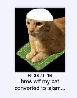 Cat Converted to Islam