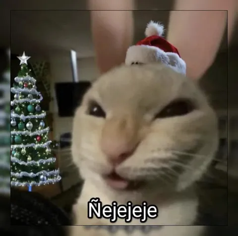 Gato navideño riéndose