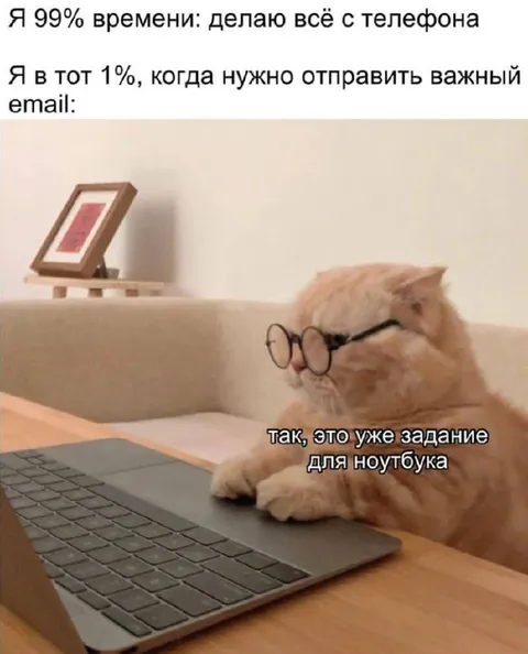 Кот отправляет важный email