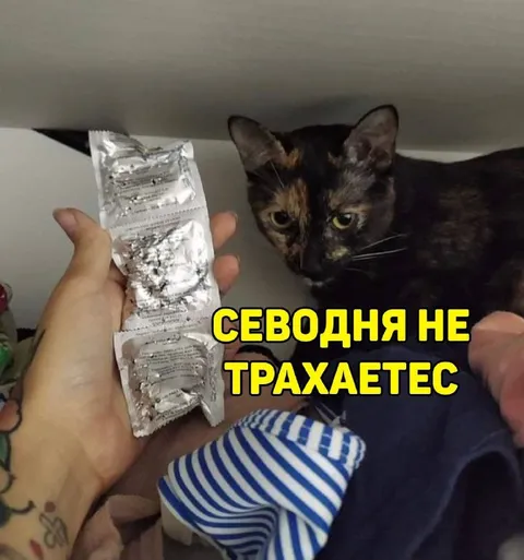 Сегодня не трахаетесь