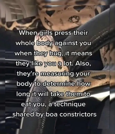 Girls Measuring You to Eat You