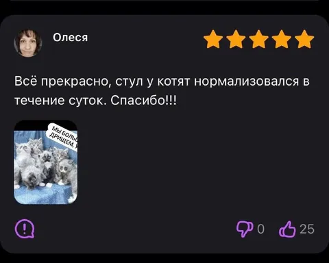 Стул у котят нормализовался