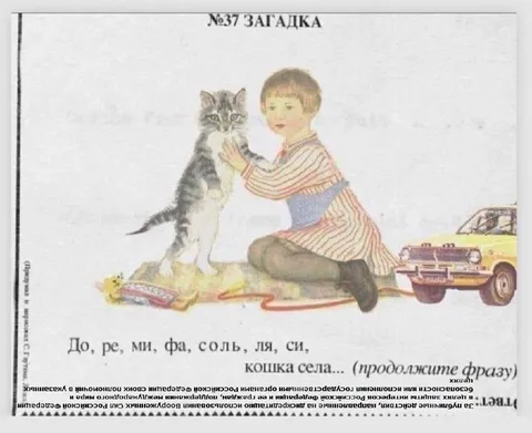 Кошка села на такси