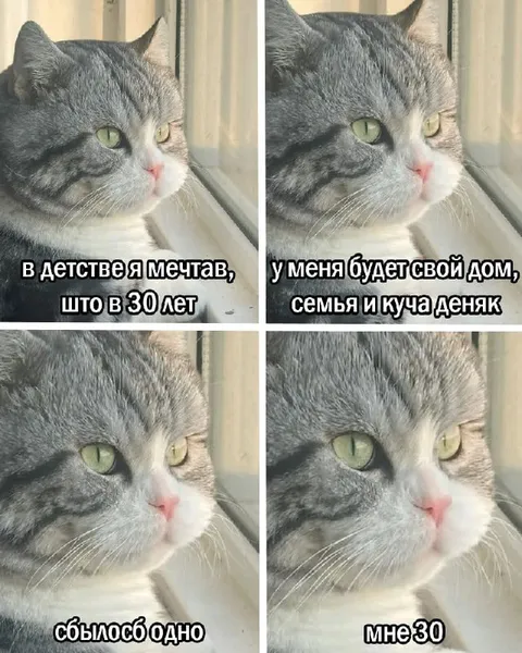 Мне 30, а сбылось одно