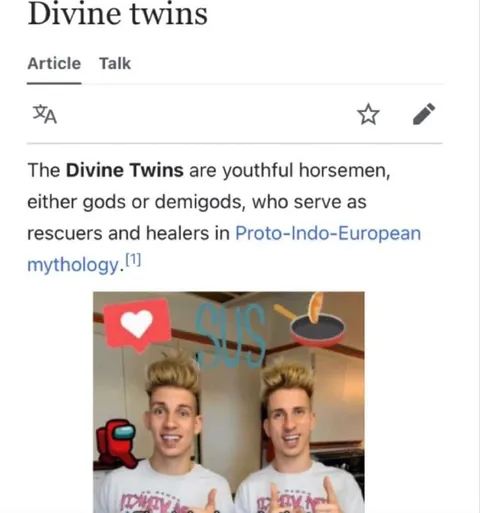 Divine Twins Sus