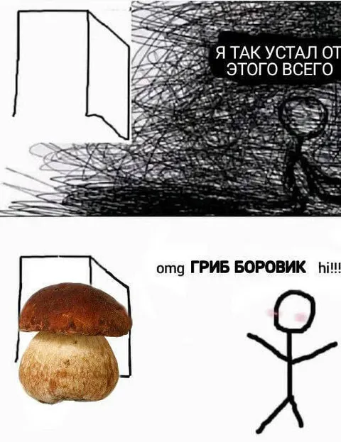 Я так устал от этого всего — гриб боровик