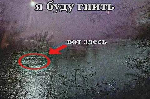 Я буду гнить вот здесь