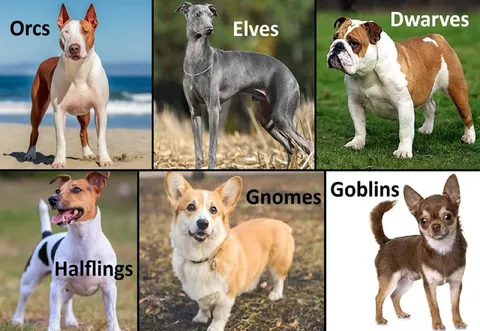 Dog Fantasy Race Chart
