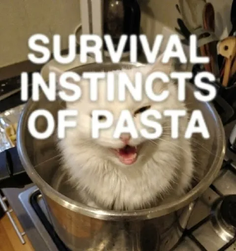 Survival Instincts of Pasta