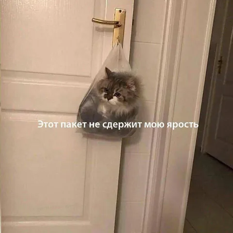 Пакет не сдержит ярость