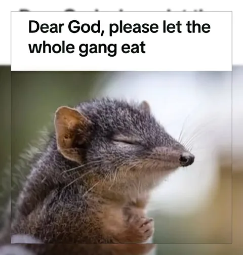 Dear God Let the Whole Gang Eat