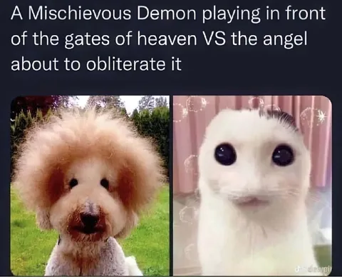Mischievous Demon vs Angel