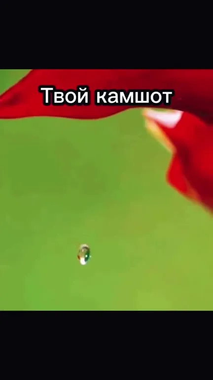 Твой камшот и проходящий кот
