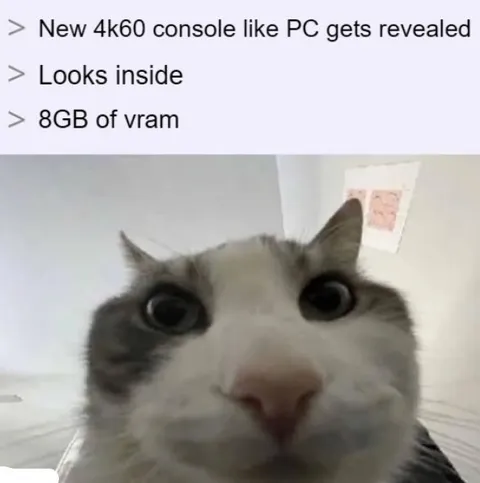 8GB of VRAM Cat Reaction