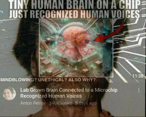 Tiny Brain Recognizes Human Voices