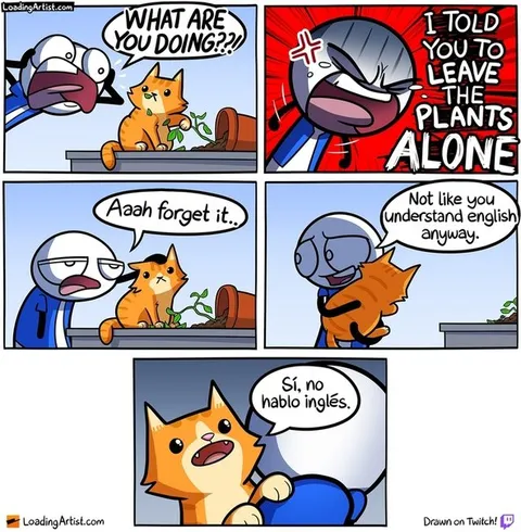 Cat Doesn’t Understand English