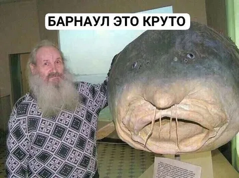 Барнаул — это круто