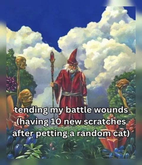 Wizard's Cat-Scratch Battle Wounds