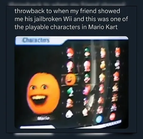 Jailbroken Wii Mario Kart Character