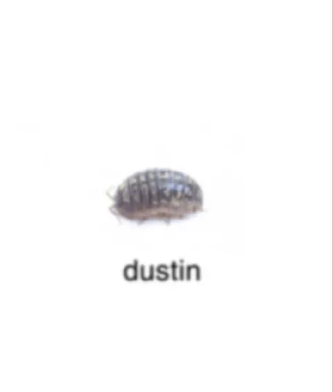 Blurry Dustin