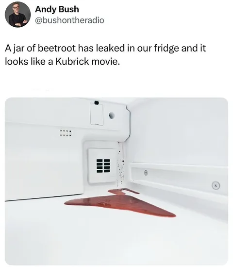 Beetroot Kubrick Fridge