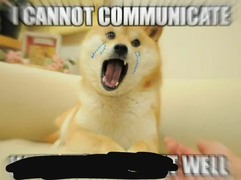 I Cannot Communicate Very Well
