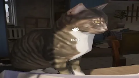 Cat Staring at You