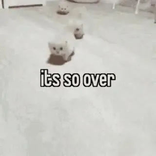 Its so over kittens