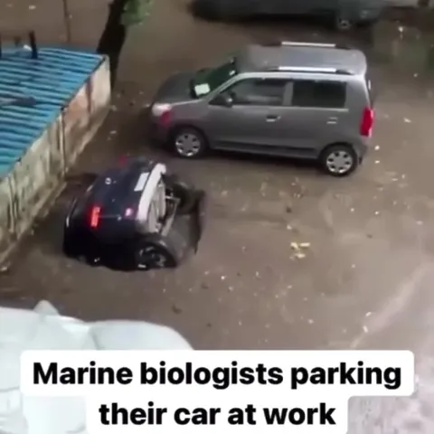 Marine Biologists Park at Work