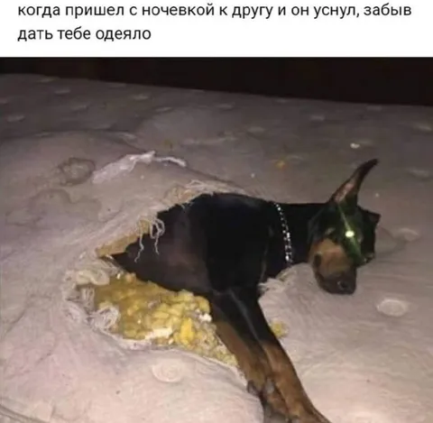 Ночёвка у друга без одеяла