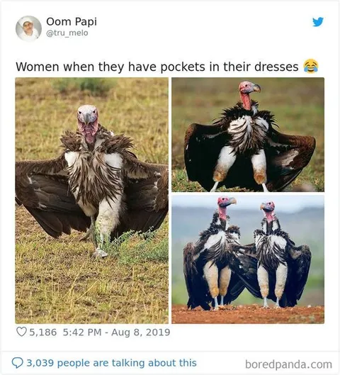 Women With Dress Pockets