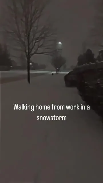 Walking Home in a Snowstorm