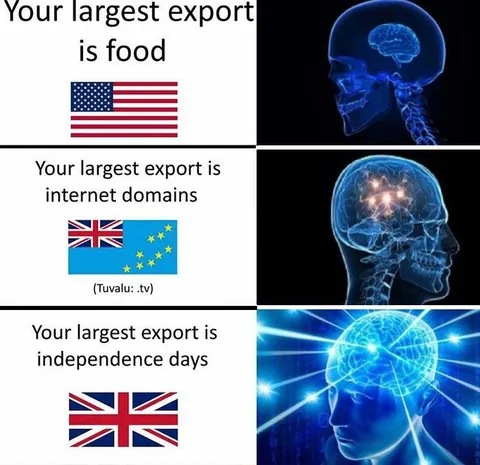 Largest Export Galaxy Brain