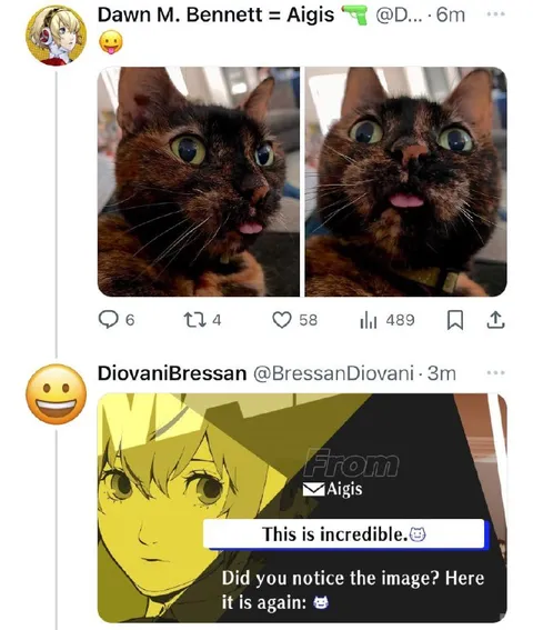 This Is Incredible Cat Reply