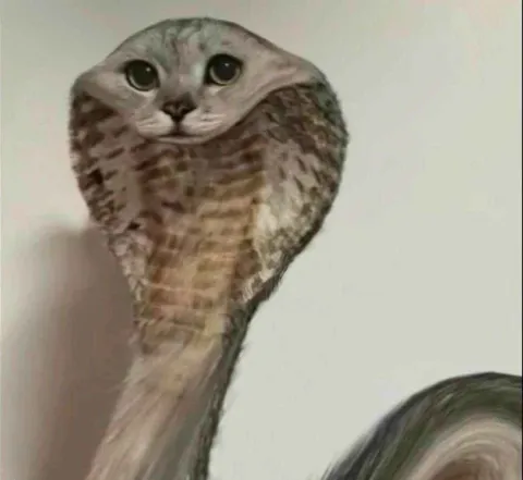 Кот с телом совы