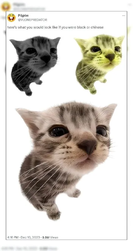 What You Would Look Like