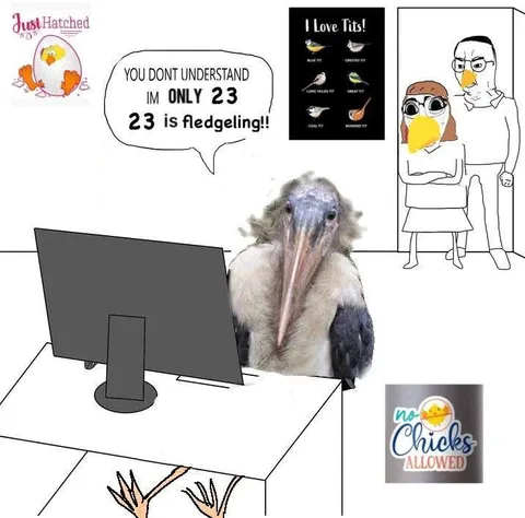 Only 23 and Fledgling