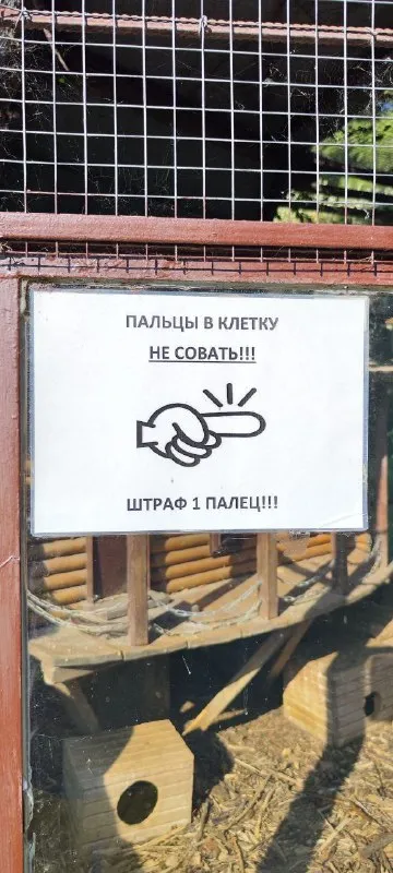 Штраф за палец в клетке