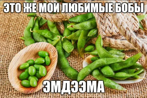 Мои любимые бобы