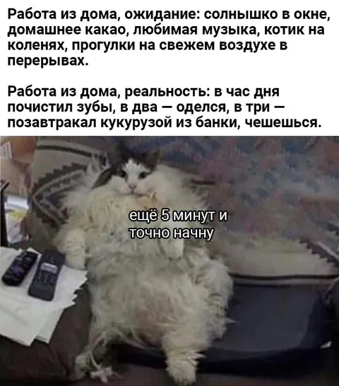 Работа из дома: ещё пять минут