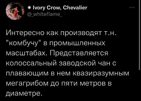 Промышленное производство комбучи